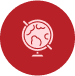 Globe Icon
